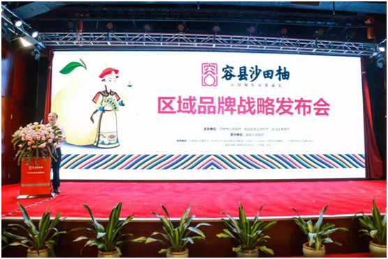 【加急】“桂果”品牌纳新 广西容县沙田柚区域品牌战略发布会在南宁举行