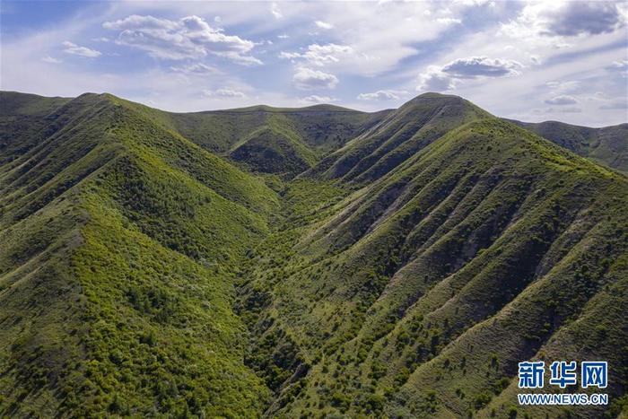 图片默认标题_fororder_1126087277_15915885136271n