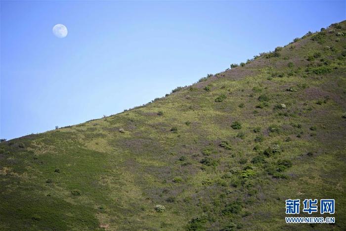 图片默认标题_fororder_1126087277_15915885135671n