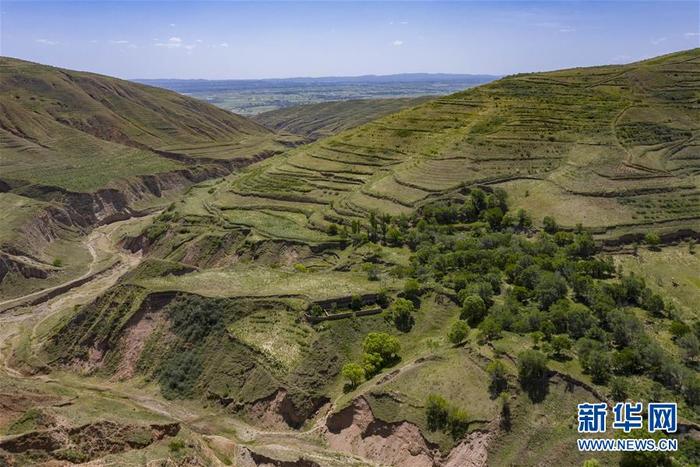 图片默认标题_fororder_1126087277_15915885137851n