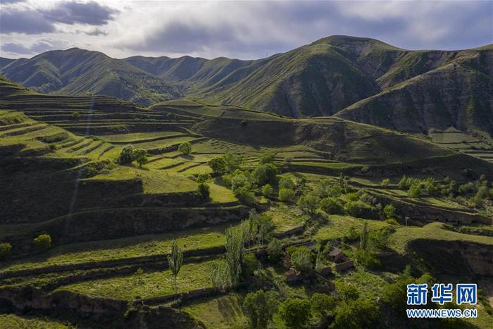 图片默认标题_fororder_1126087277_15915885136861n