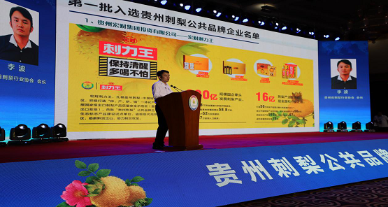 四个自信，使命必达！"贵州刺梨•宏财刺力王"品牌扬帆再起航