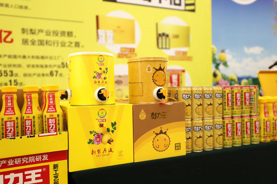 四个自信，使命必达！"贵州刺梨•宏财刺力王"品牌扬帆再起航