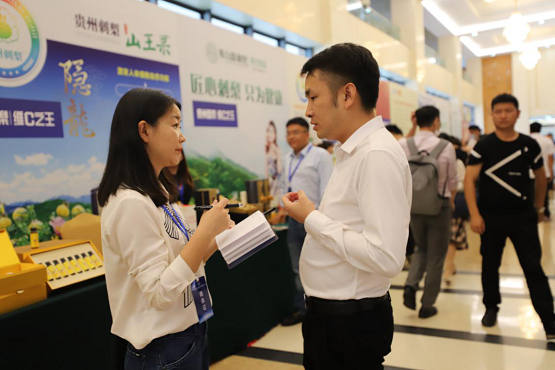 四个自信，使命必达！"贵州刺梨•宏财刺力王"品牌扬帆再起航