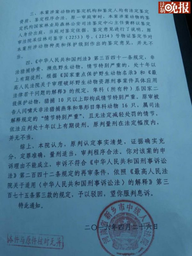 河南新乡中级法院驳回“大学生掏鸟被判十年”案申诉