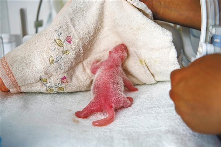 圖片默認標題_fororder_微信圖片_20190711084857