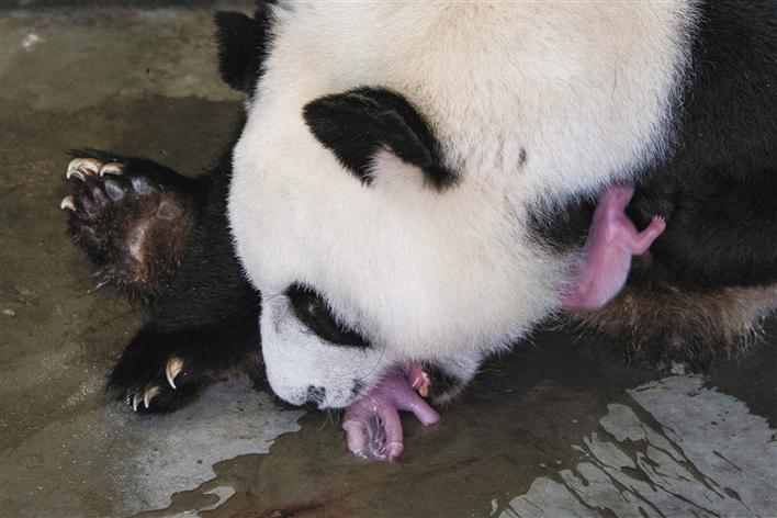 圖片默認標題_fororder_微信圖片_20190711084844