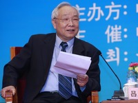 人文媒體分論壇主持人，中國公共外交協會副會長呂鳳鼎