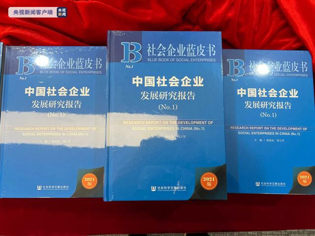 解碼中國社會企業現狀社會企業藍皮書發佈