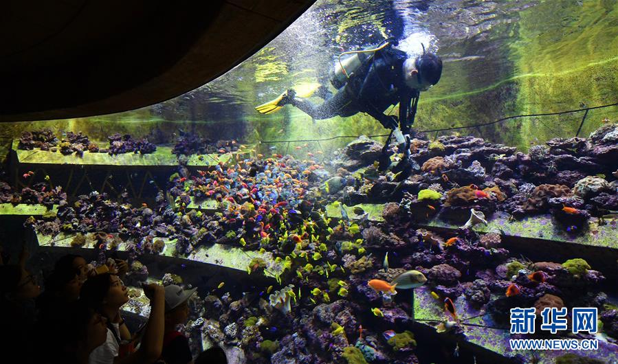 三亚进入暑期旅游旺季