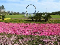 山东荣成：花开樱花湖_fororder_CqgNOlzs3kuAeQIIAAAAAAAAAAA712.899x599