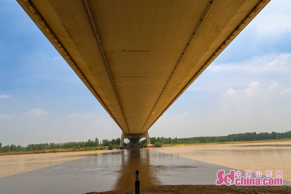 麦收时节，空中看济南黄河滩边别样美景