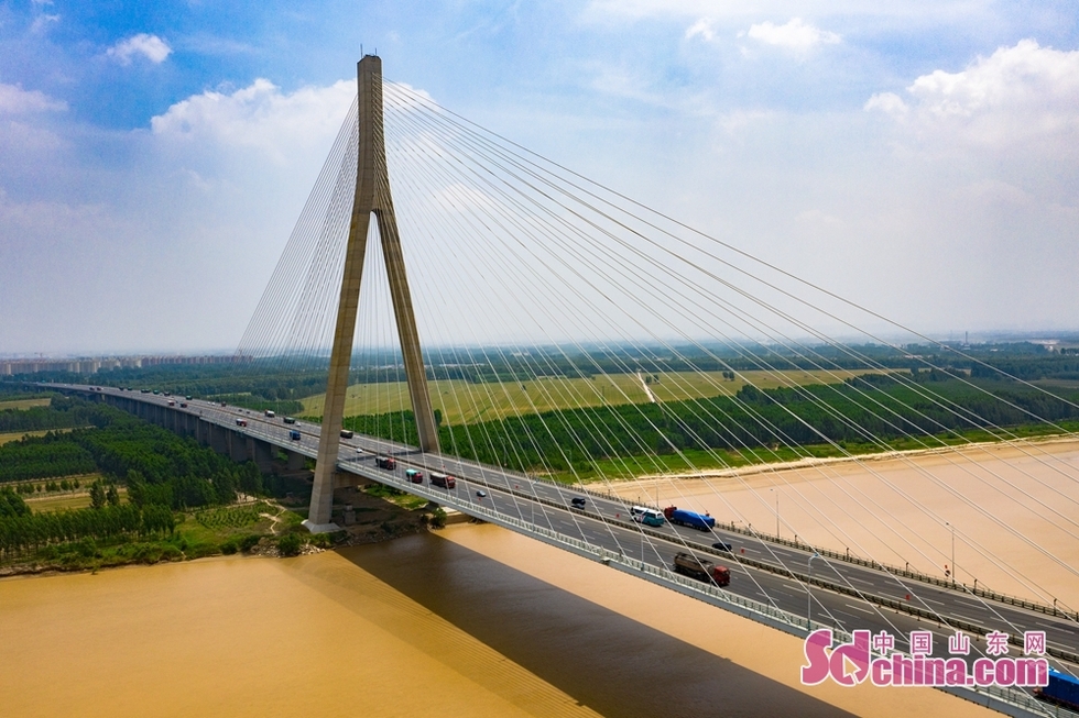 麦收时节，空中看济南黄河滩边别样美景