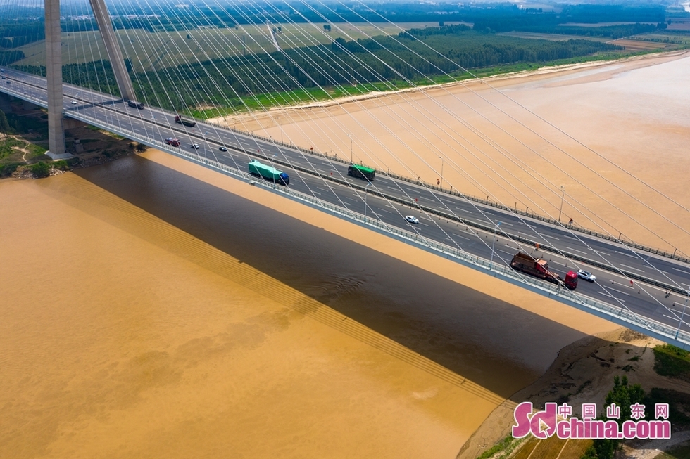 麦收时节，空中看济南黄河滩边别样美景