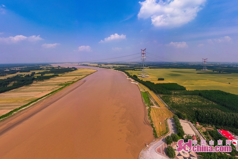 麦收时节，空中看济南黄河滩边别样美景