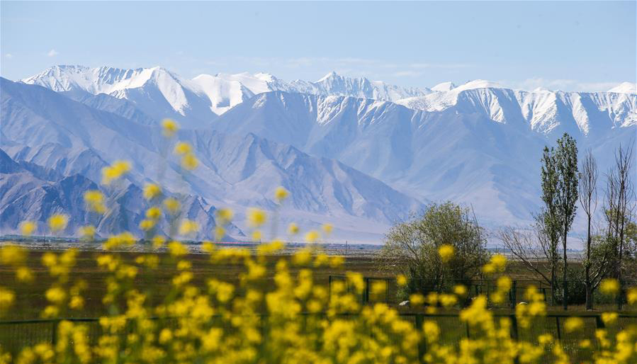 图片默认标题_fororder_20190711帕米尔6