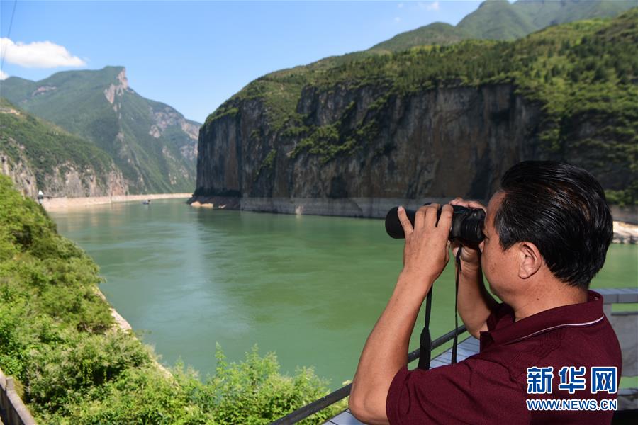 【聚焦重慶】待到滿山紅葉時 ——三峽重慶庫區踐行新發展理念面面觀