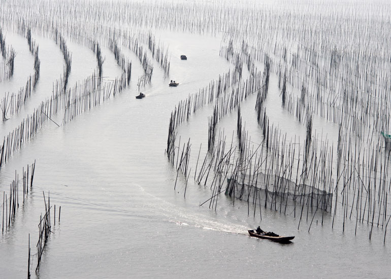 霞浦滩涂：滩涂摄影胜地