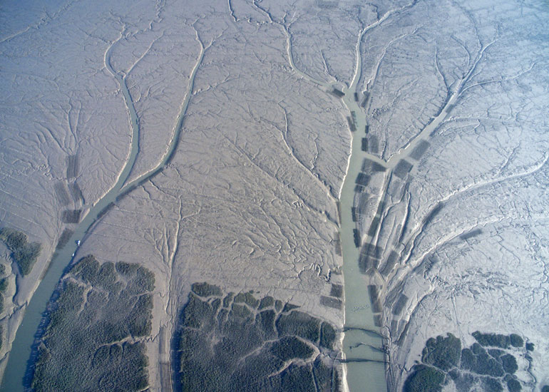 霞浦滩涂：滩涂摄影胜地