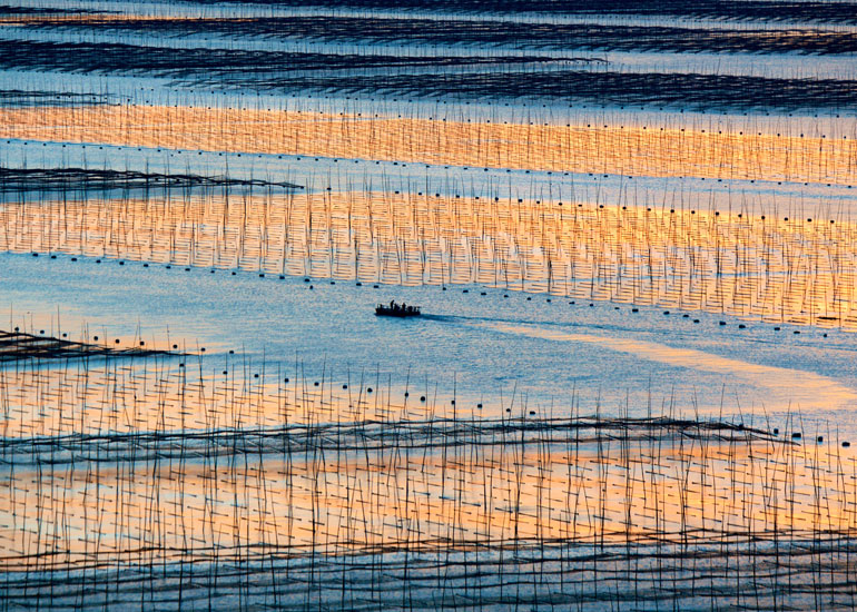霞浦滩涂：滩涂摄影胜地