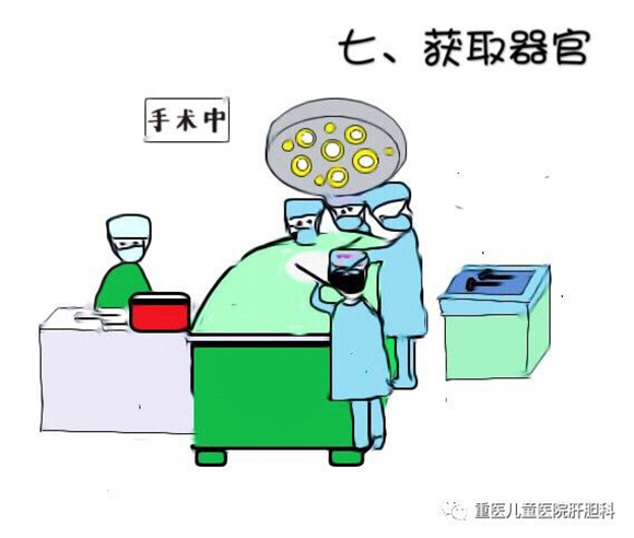 【社会民生】一组漫画看懂器官捐献过程