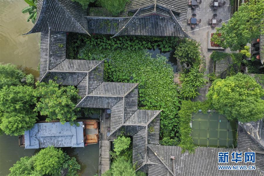 重庆璧山：小城湿地公园风景美如画