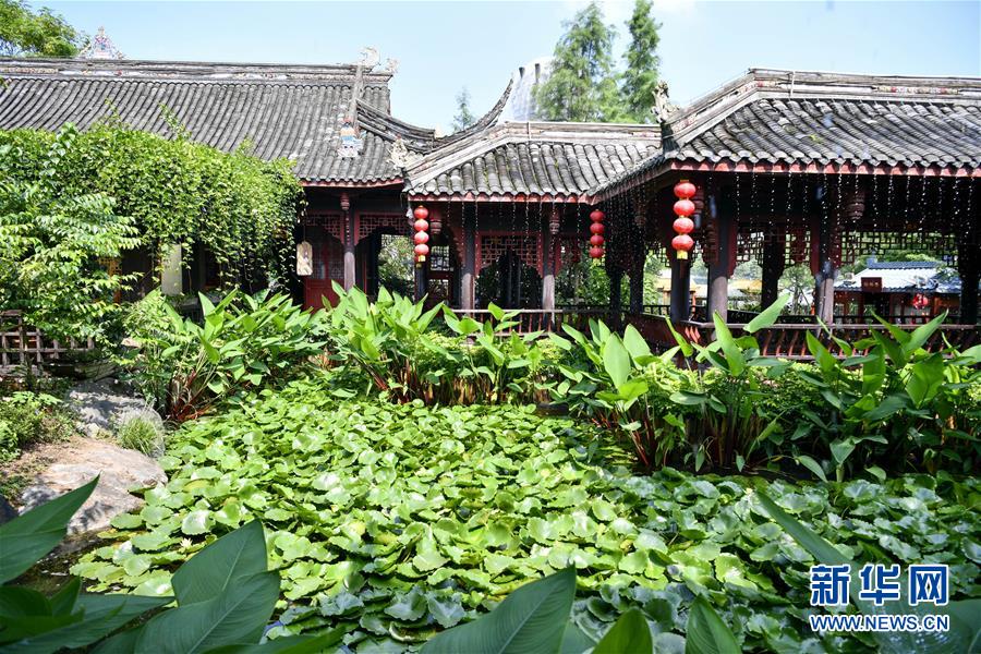 重庆璧山：小城湿地公园风景美如画