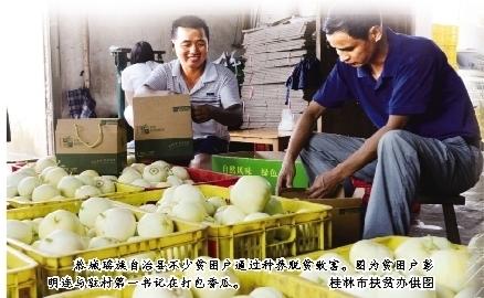 桂林：美丽山水间奏响脱贫攻坚最强音 ——桂林市脱贫攻坚工作综述