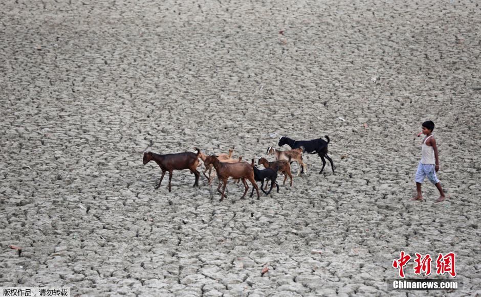 印度持续高温旱情严重 地表龟裂