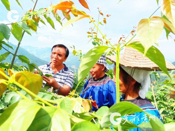（市州）这位帮扶干部在脱贫攻坚中用力、用情、用心