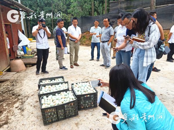 （市州）这位帮扶干部在脱贫攻坚中用力、用情、用心