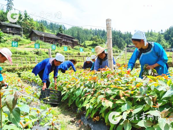 （市州）这位帮扶干部在脱贫攻坚中用力、用情、用心