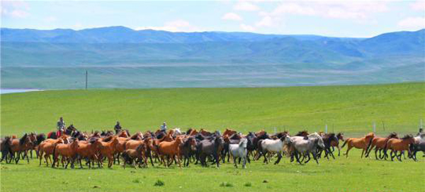 图片默认标题_fororder_外显