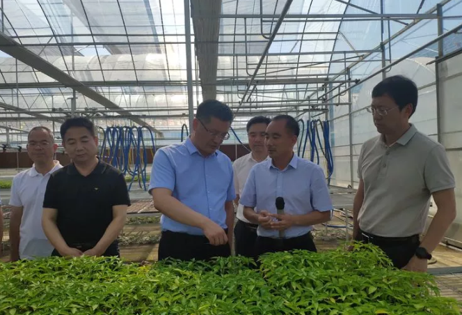 西安市雁塔區長趙雷帶隊赴安康市漢濱區考察對接區域對口幫扶工作