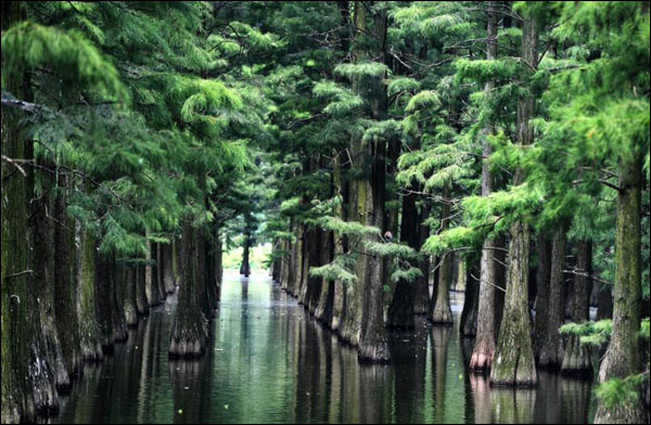 图片默认标题_fororder_涨渡湖2