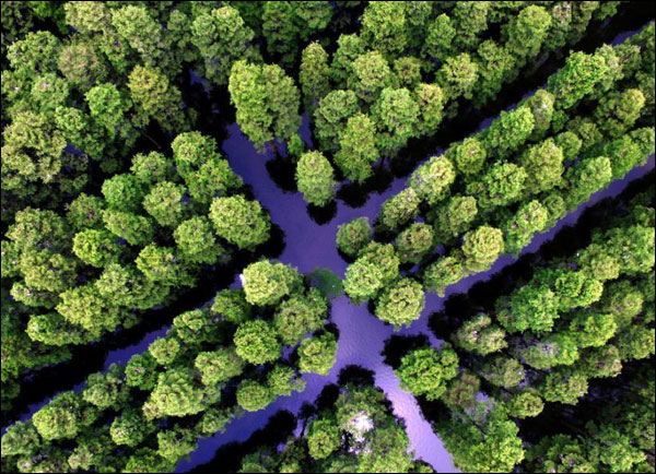 图片默认标题_fororder_涨渡湖1