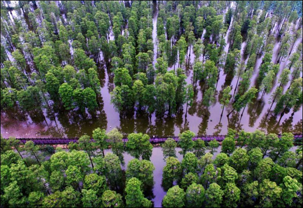 图片默认标题_fororder_涨渡湖3