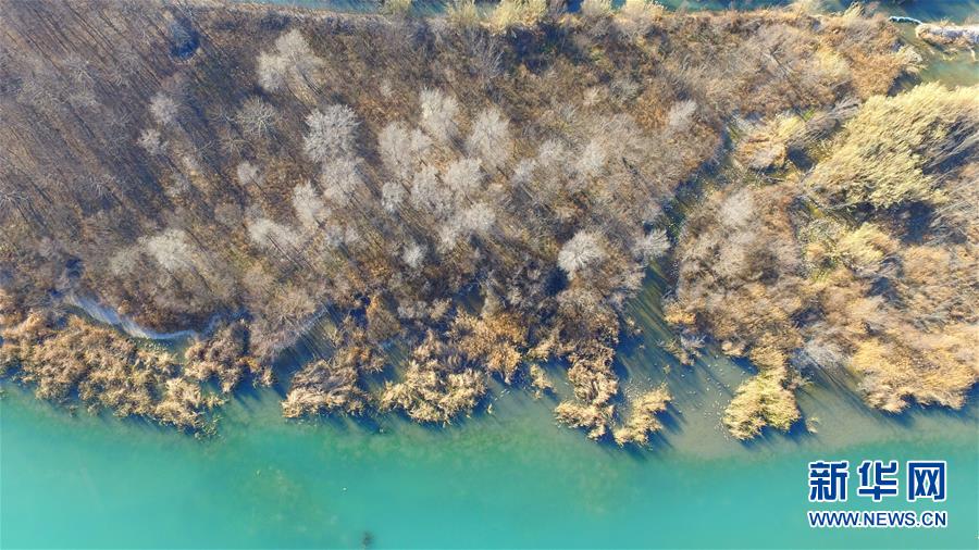 河南鹤壁：冬日淇河湿地美