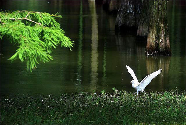 图片默认标题_fororder_20190714whzdh2