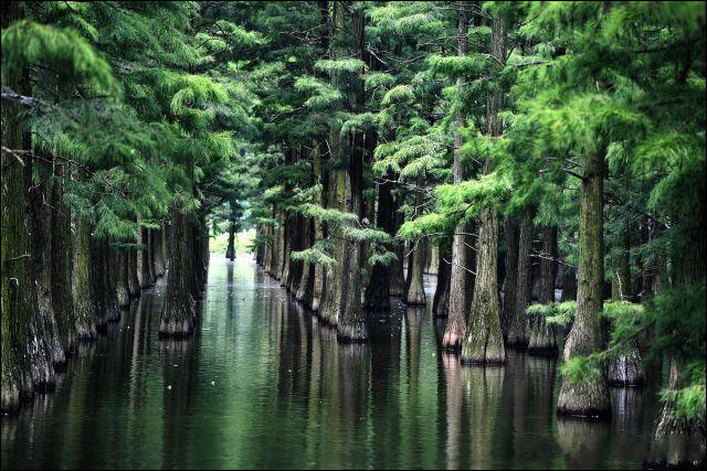 图片默认标题_fororder_20190714whzdh6