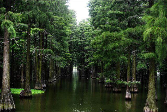 图片默认标题_fororder_20190714whzdh3