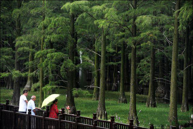 图片默认标题_fororder_20190714whzdh5