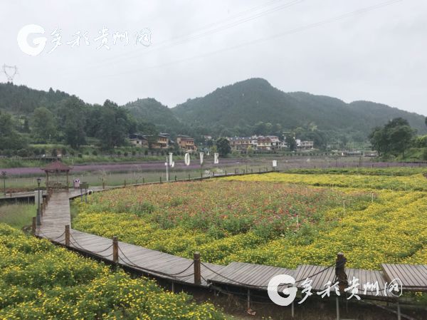 （大扶貧）銅仁玉屏桐木村：産業扶貧打通致富路 美麗鄉村入畫來