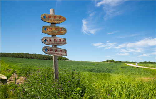 郑俊怀:推进红星森林有机牧场游,让“林海雪原”鲜活起来