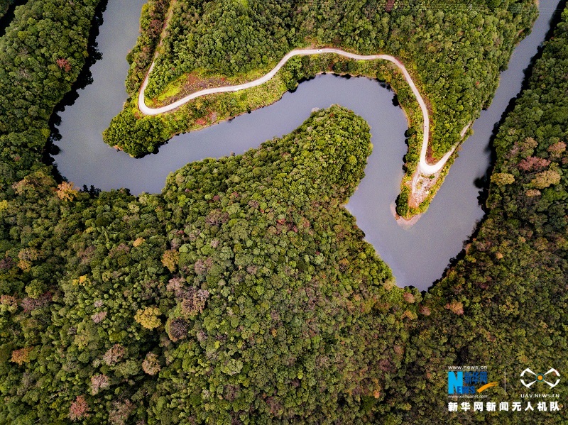 航拍江西宜丰官山自然保护区五彩斑斓胜似春景