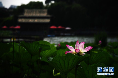 图片默认标题_fororder_1124751740_15631070455881n