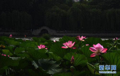 图片默认标题_fororder_1124751740_15631070457191n