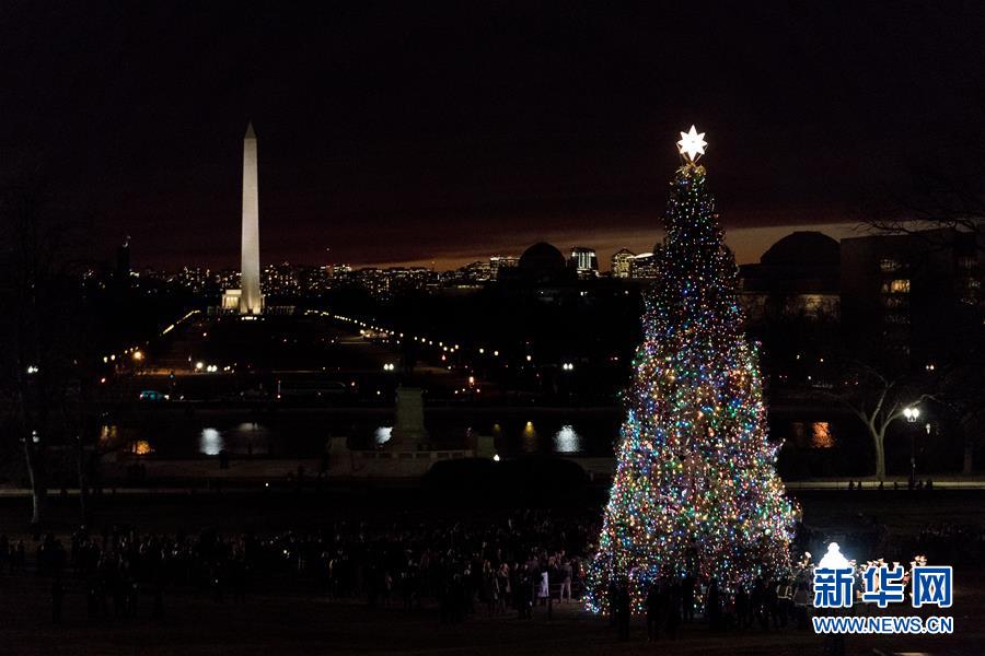 华盛顿点亮国会圣诞树