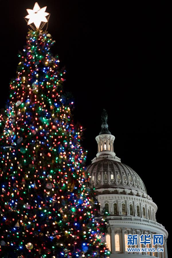 華盛頓點亮國會聖誕樹
