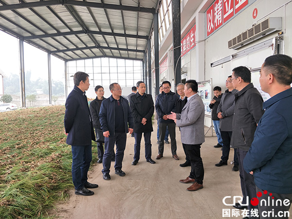 近日,国家统计局四川调查总队党组书记,总队长张小军率队到宜宾市江安